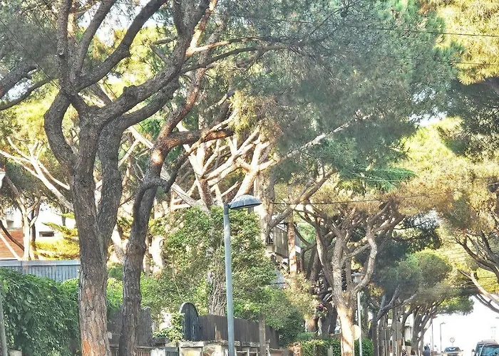 El Pi Con Jardín A 2 Minutos Playa Y 2 Minutos Centro Platja d'Aro (Playa de Aro)