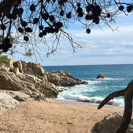 El Pi Con Jardin A 2 Minutos Playa Y 2 Minutos Centro Apartment