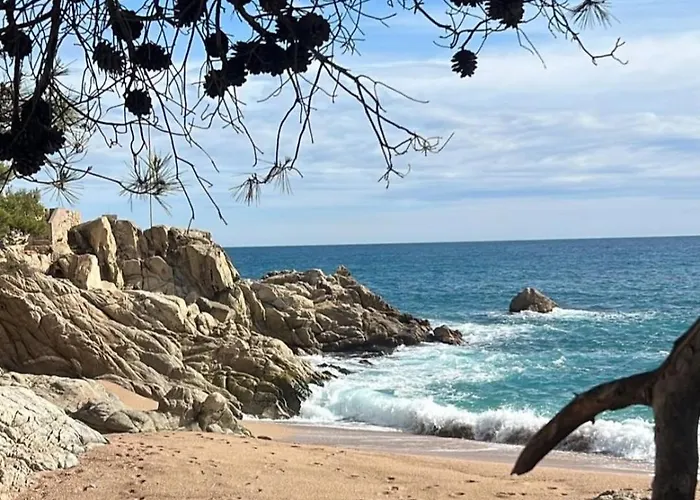 El Pi Con Jardin A 2 Minutos Playa Y 2 Minutos Centro 아파트